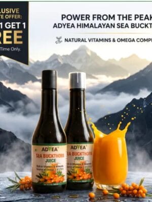 Two bottles of Adyea Himalayan Sea Buckthorn Juice with a splashing glass of orange juice against a snowy mountain background, featuring a Buy 1 Get 1 Free website offer.