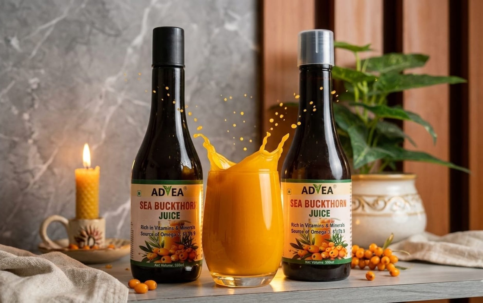 sea-buckthorn-black-horizintal-new